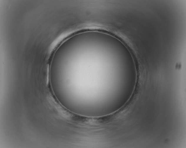 X0000112411175200908211115