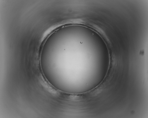 X0000112411176200908211114