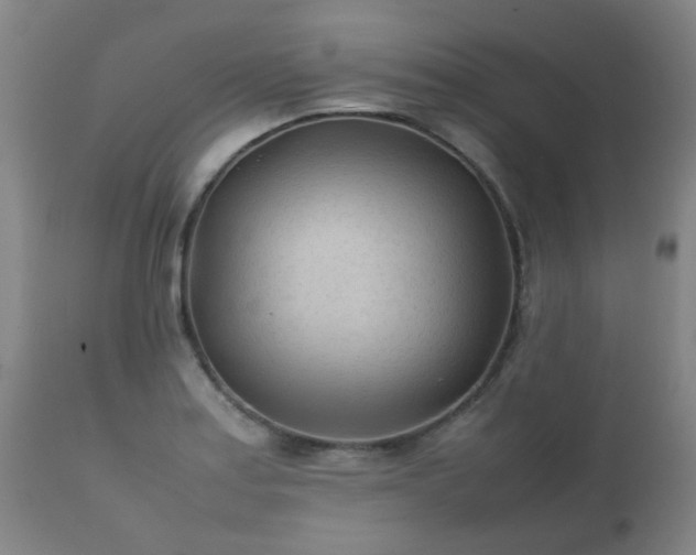X0000112411179200908211114