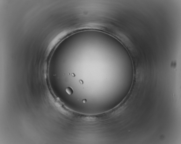 X0000112411180200908211114