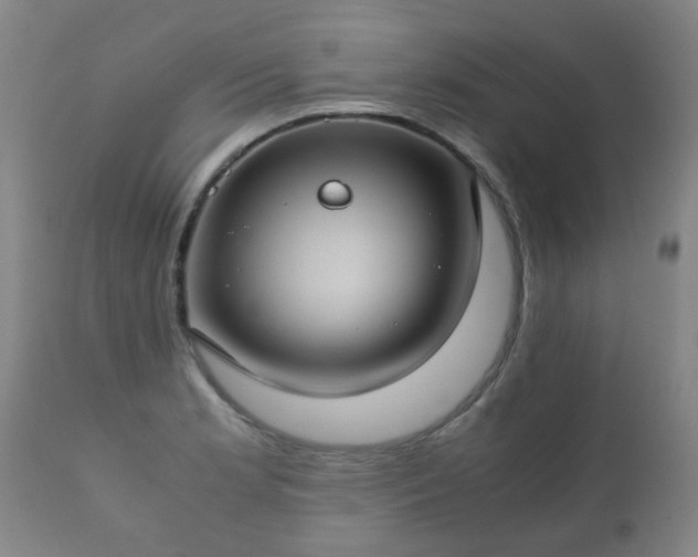 X0000112411181200908211114