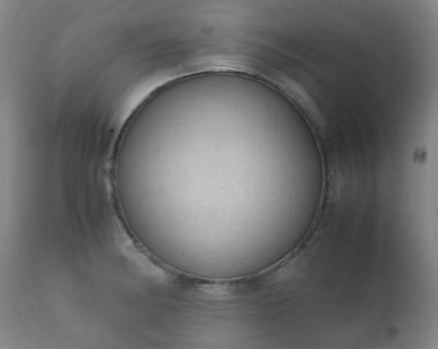 X0000112411182200908211114