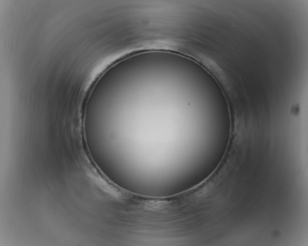 X0000112411184200908211114