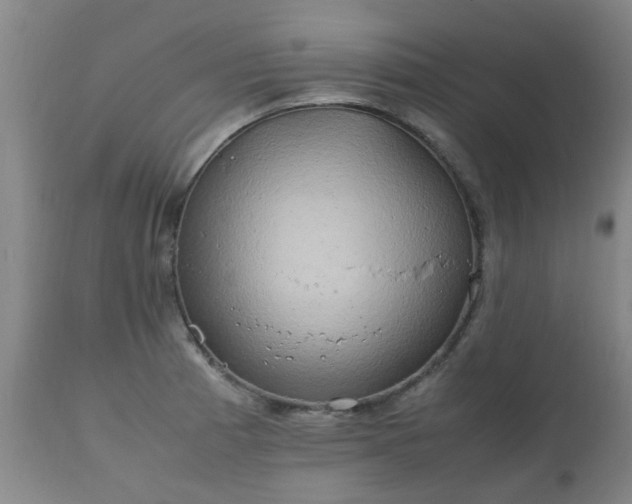X0000112411185200908211114
