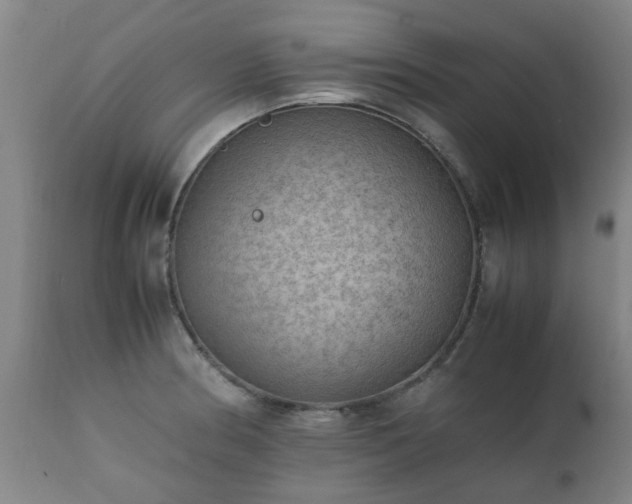 X0000112411186200908211114