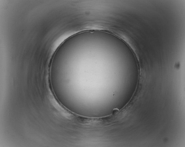 X0000112411187200908211114