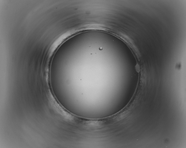 X0000112411188200908211114