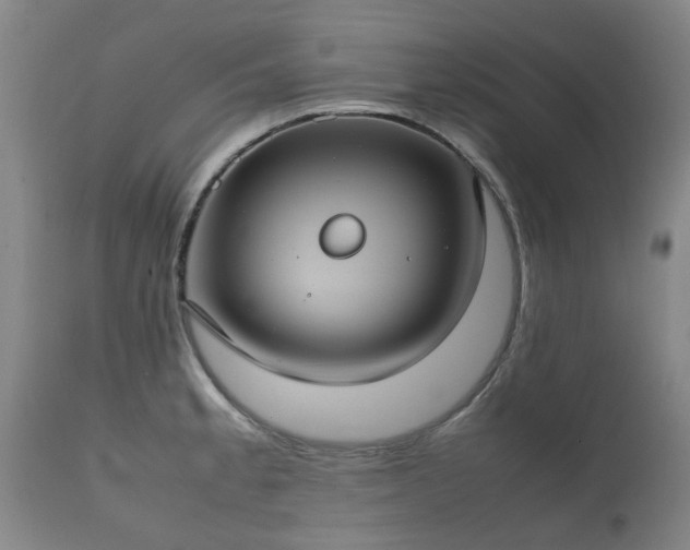 X0000112411189200908211114