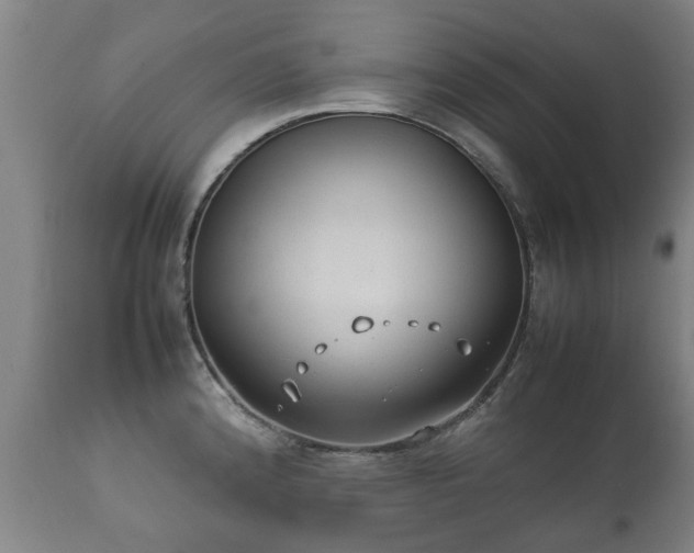 X0000112411192200908211114