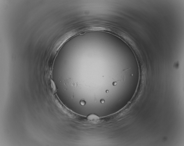 X0000112411193200908211114