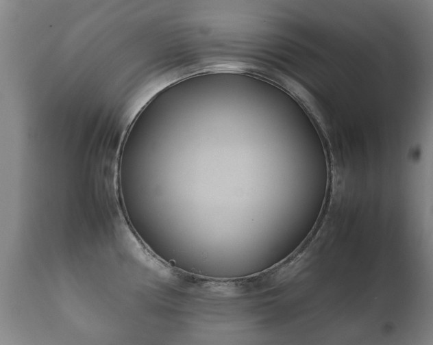 X0000112411194200908211114