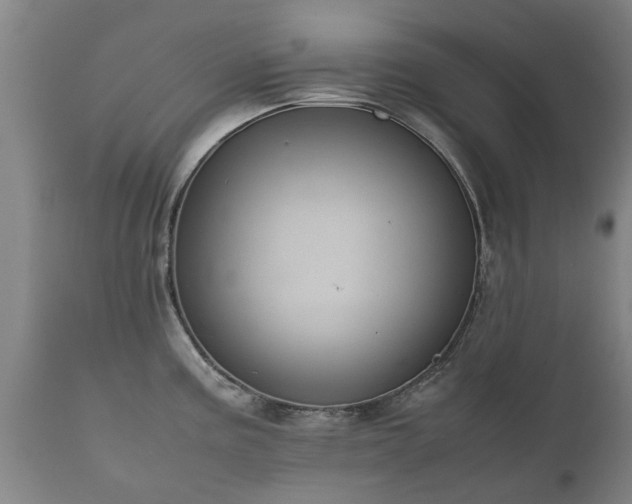 X0000112411195200908211114