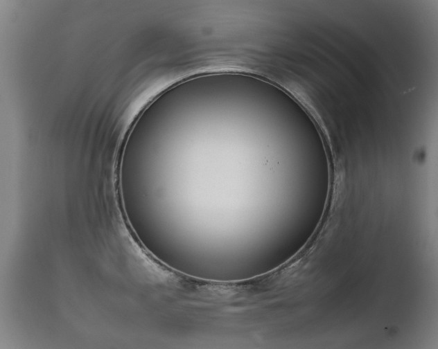 X0000112411197200908211114