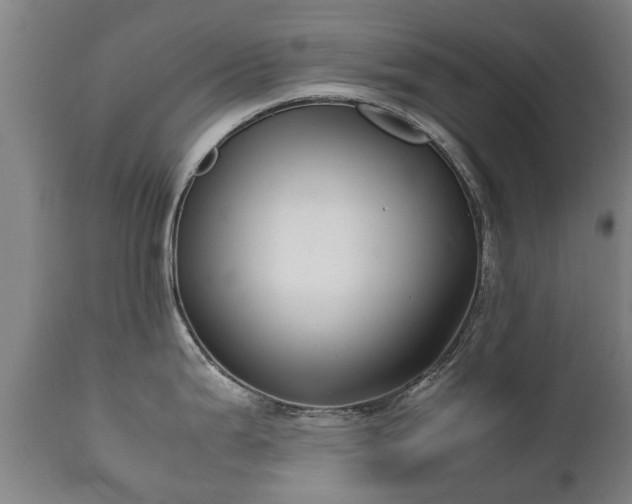 X0000112411199200908211114