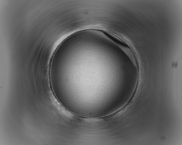 X0000112411200200908211114