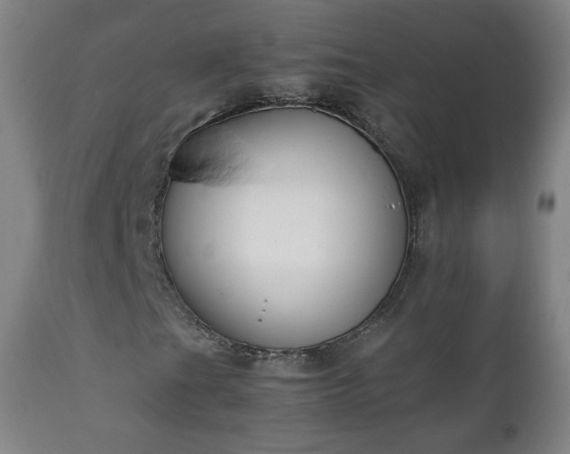 X0000112411201200908211113
