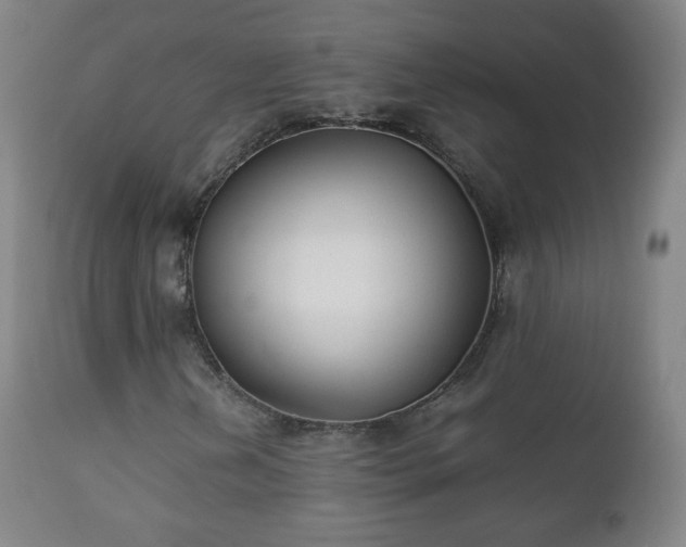 X0000112411202200908211113