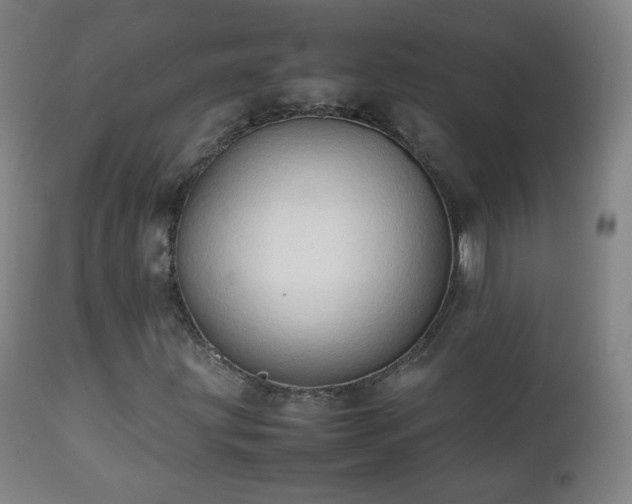 X0000112411203200908211113