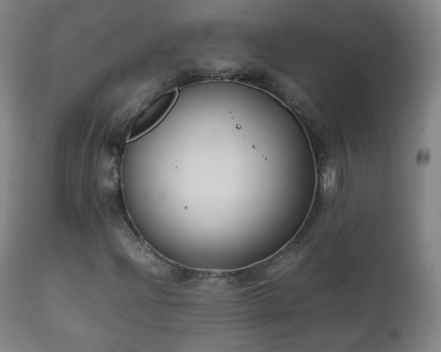 X0000112411204200908211113