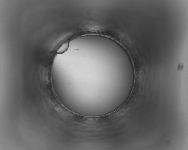 X0000112411205200908211113