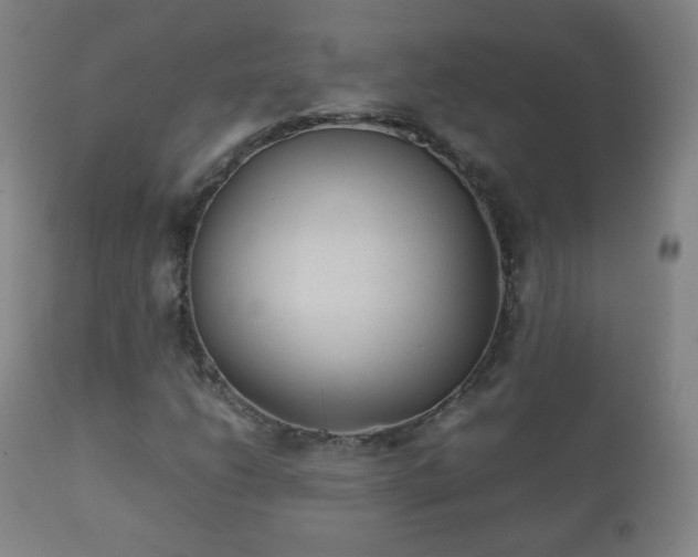 X0000112411206200908211113