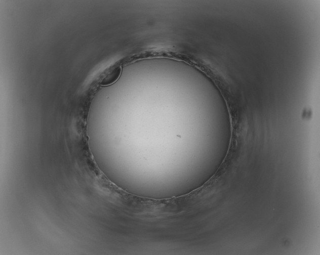X0000112411207200908211113