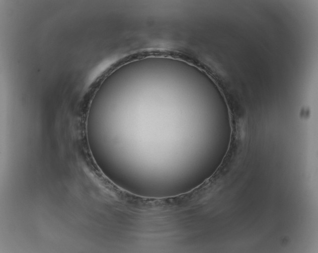 X0000112411208200908211113