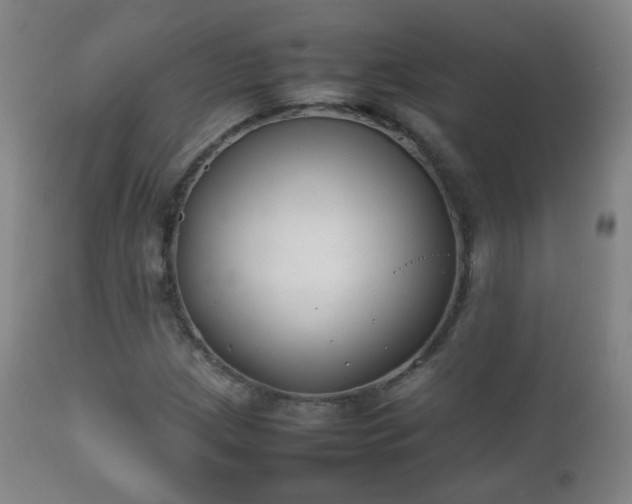 X0000112411209200908211113