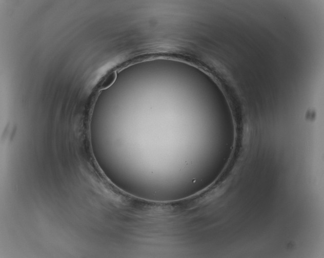 X0000112411210200908211113