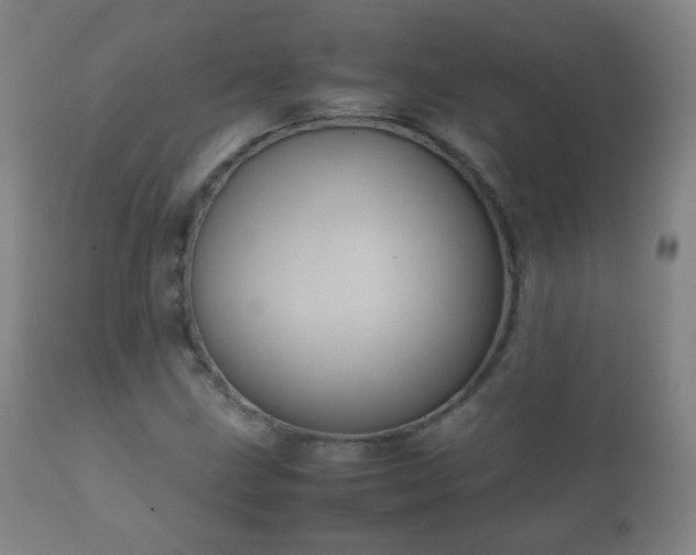 X0000112411211200908211113