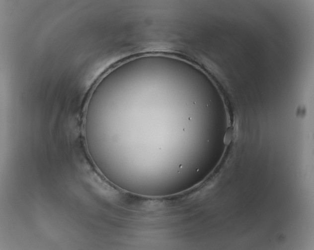 X0000112411212200908211113
