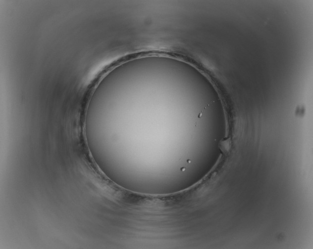 X0000112411214200908211114