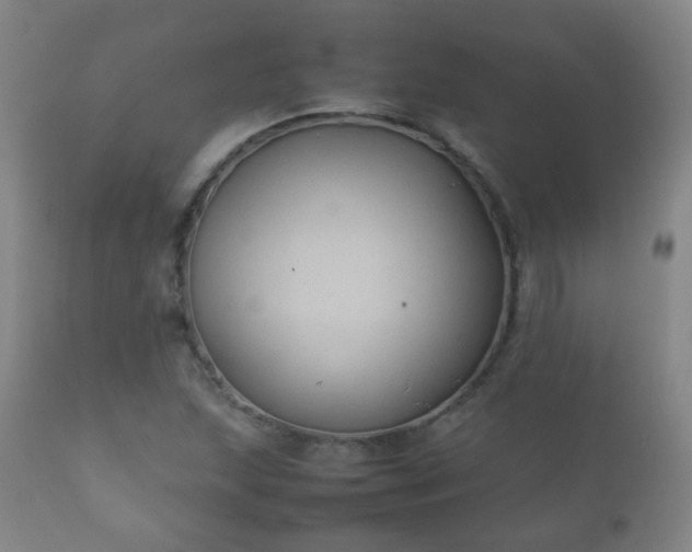 X0000112411215200908211114