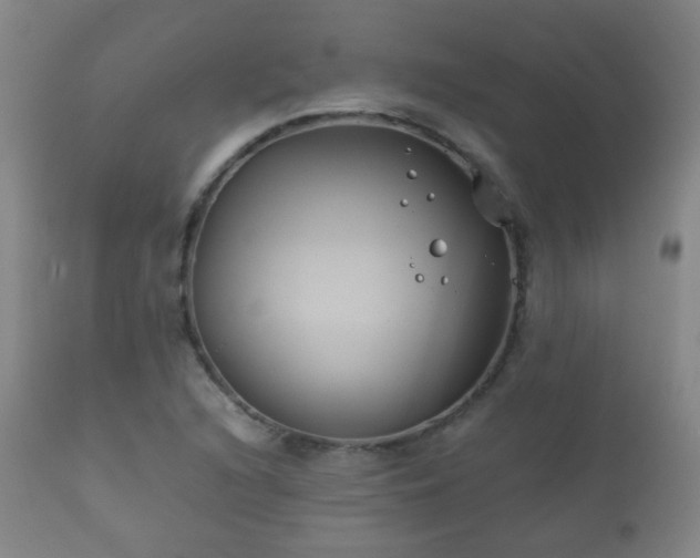 X0000112411216200908211114