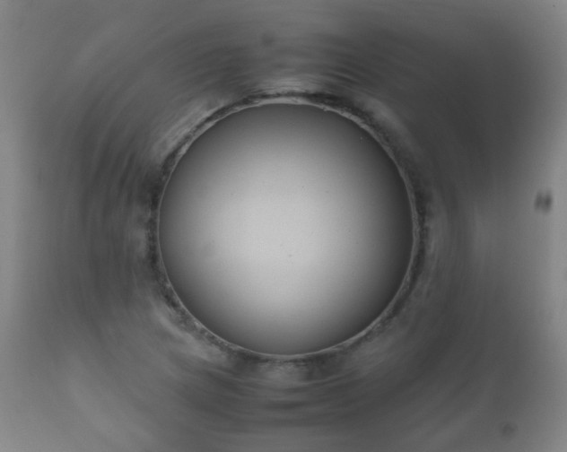 X0000112411217200908211114