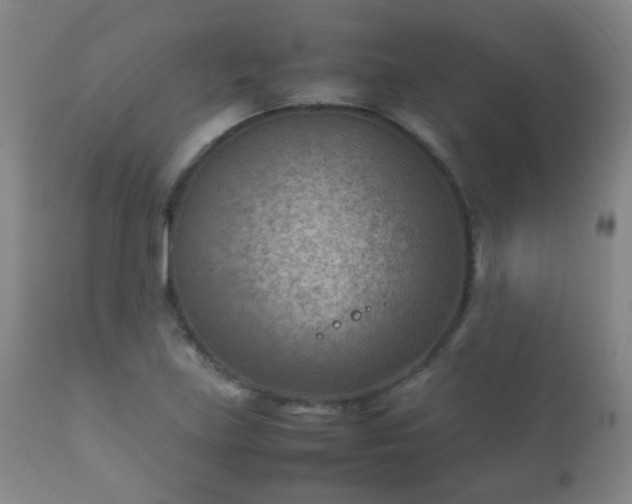 X0000112411219200908211114