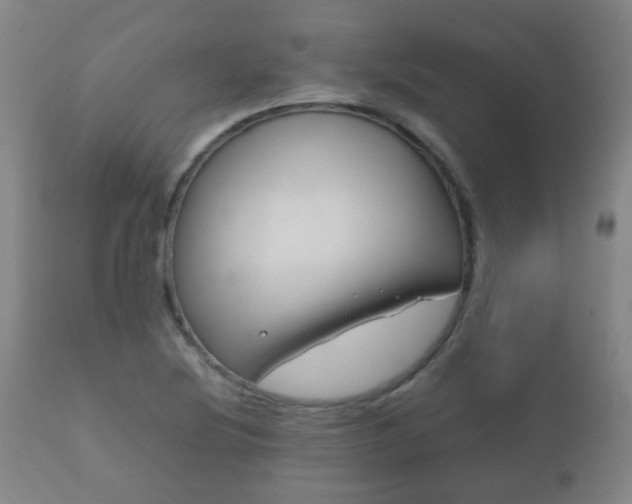 X0000112411220200908211114
