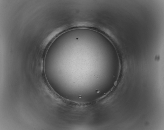 X0000112411221200908211114