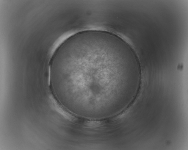 X0000112411223200908211114