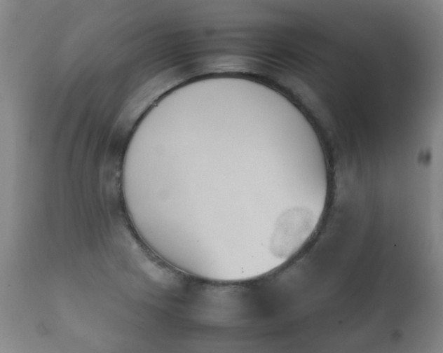X0000112411225200908211114