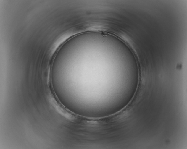 X0000112411227200908211114
