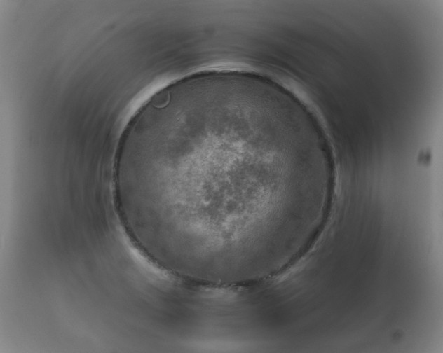 X0000112411229200908211114