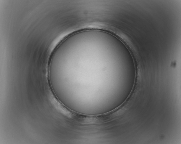 X0000112411232200908211114