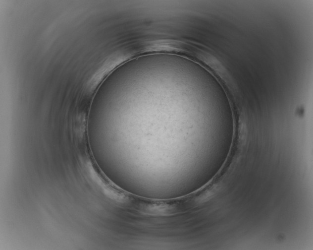 X0000112411233200908211114