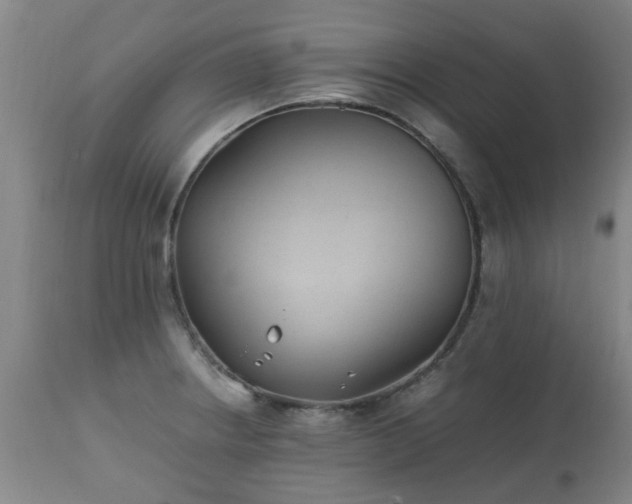 X0000112411234200908211114