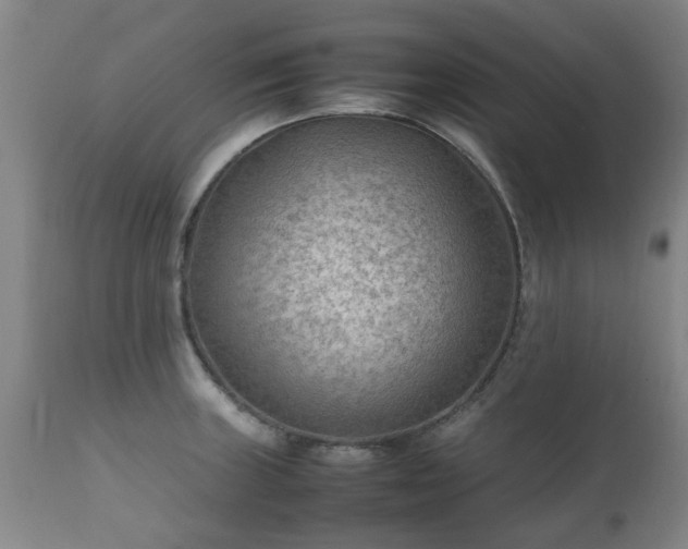 X0000112411235200908211114