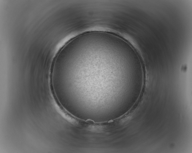 X0000112411237200908211114