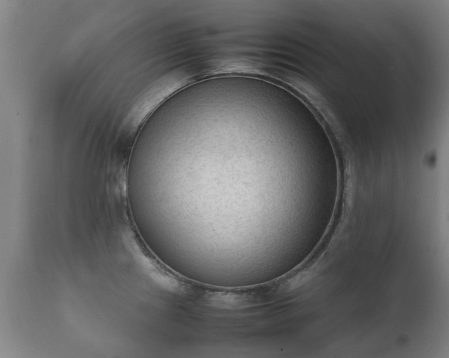 X0000112411241200908211114