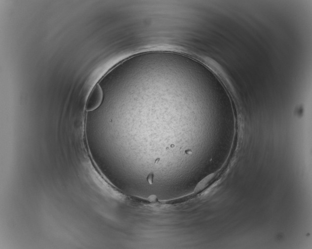 X0000112411244200908211114