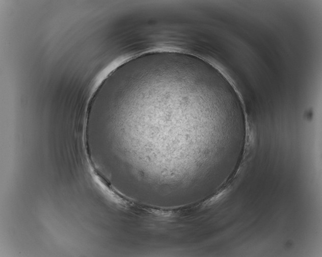 X0000112411245200908211114